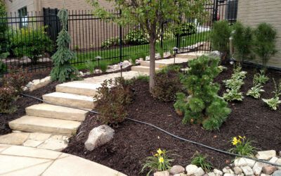 Transforming Omaha Landscapes: Your Dream Outdoor Space Awaits